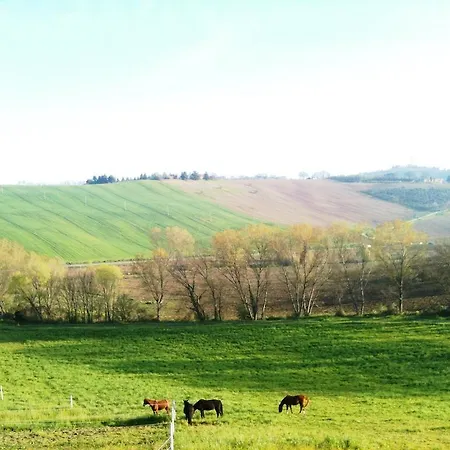 Casale Il Gallo Bianco Offagna