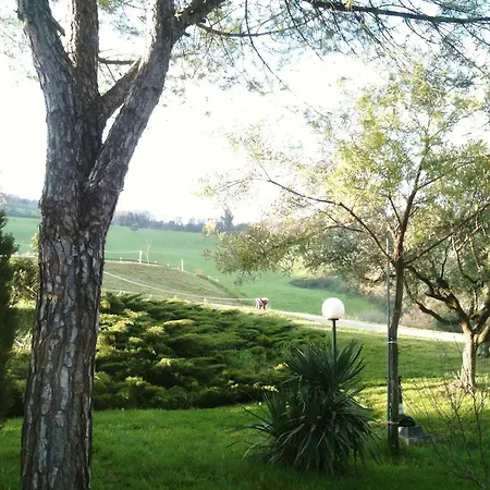 Agroturismo Casale Il Gallo Bianco