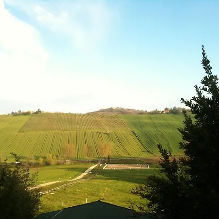 Agroturismo Casale Il Gallo Bianco Offagna