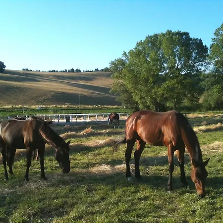 Agroturismo Casale Il Gallo Bianco