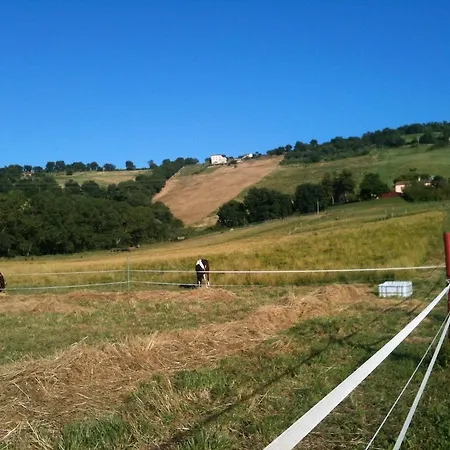 Agroturismo Casale Il Gallo Bianco *