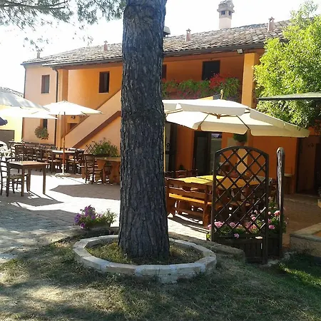 Lantgård Casale Il Gallo Bianco Offagna