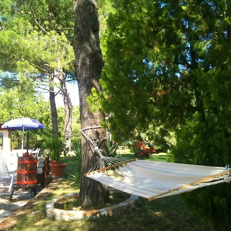 Casale Il Gallo Bianco