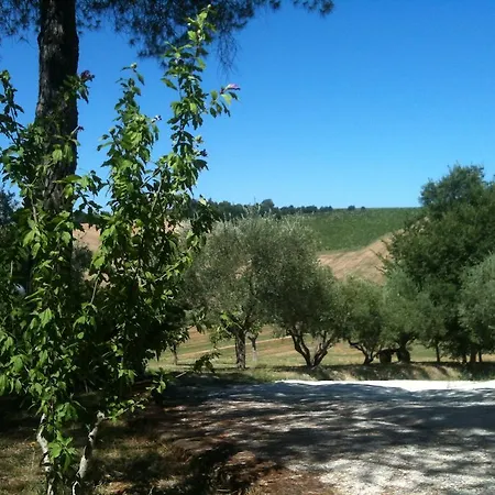 Agroturismo Casale Il Gallo Bianco *