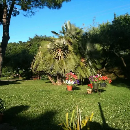 בית חווה Casale Il Gallo Bianco Offagna