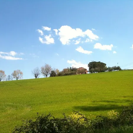 Agroturismo Casale Il Gallo Bianco *